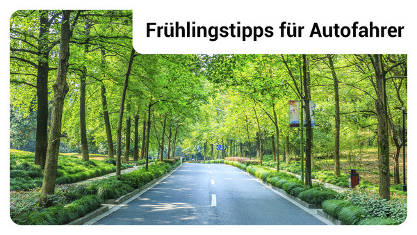 Frühlingstipps für Autofahrer