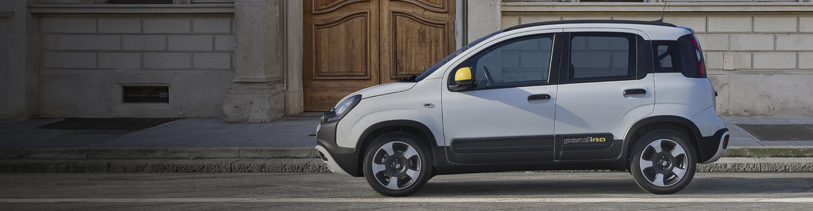 Fiat Panda Reimport & EU-Neuwagen g&uuml;nstig kaufen