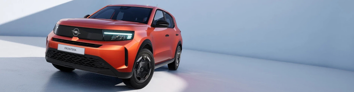 Fiat Ducato Reimport & EU-Neuwagen g&uuml;nstig kaufen